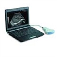 Digital Ultrasound with One Probe Connectors