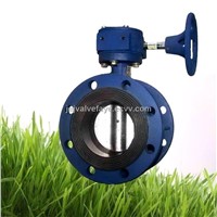 Double flange type butterfly valve