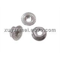 Flange Nuts (Stainless steel) (M5-20)