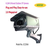 H.264 2.0Megapixel Outdoor Infrared IP Camera