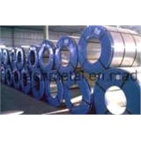 Hot Dipped Galvanized Steel Coil/Sheet