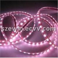 LED Flexible Strip (EW-RC3528-60LEDs/m)