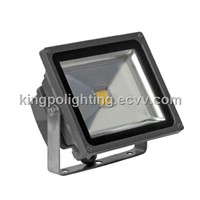 LED Floodlight / LED Bulb JY-F-20W