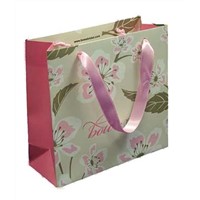 Laminated Ribbon Handle Gift Paper Bags