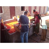 Low investment of tomato paste production line from rogerzdy at gmail dot com.
