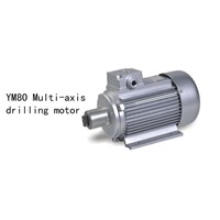 Multi-Axis Drilling Motor (YM80)
