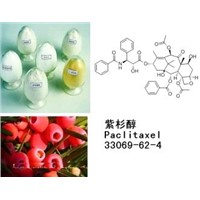Plant Extract Paclitaxel 98% C47H51NO14 CAS:33069-62-4