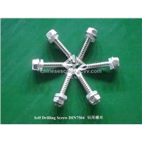 SUS304 screws