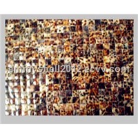 Shell Tiles with tiger's speckle for interior decoration