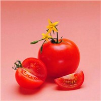 Tomato P.E.