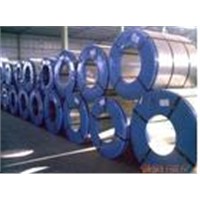 cold steel coil/plate