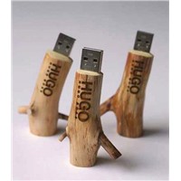 environmetal USB Disk