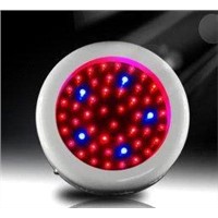 high intensity red blue yellow50W 300MA led plant growing lights 85 - 264V for hydroponic