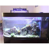 new generation 40x3w led aquarium/corla/reef lighting