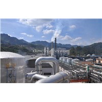 water reducer/water reducing agent/ know-how transfer/plant/ factory/plant/machine/equipment