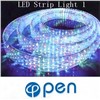 Decorative LED Light/Flexible Light