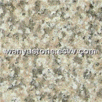 Granite Tile (G657)