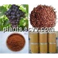 Grape Seed Extract: Proanthocyanidins, Polyphenols