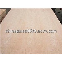 Natural Red Oak Plywood for Furniture
