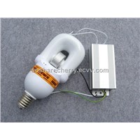 12V/24VDC induction lamp 18W to 80W