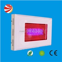 1.Full Spectrum (RBOW) 300W LED Grow Light with 1W Chip for Home Garden Growing