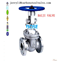 API SS316 FLANGED GATE VALVE RTJ-RTJ