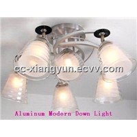 Aluminum Modern Down Light / Ceiling Light