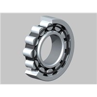 Betton Cylindrical Roller Bearings