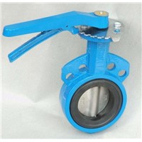 Electric Butterfly Flanged Valve With Full Lining