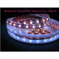 Flexible Strip / Flexible LED Light (AFN5050-30/5050-60)