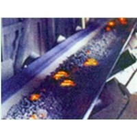 Heat Resistant Conveyor Belt (Special)