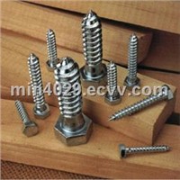 Hex Lag screw