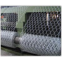 Hot dipped or Eletric Galvanized Hexagonal Wire Mesh