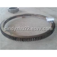 Kaydon Slewing Bearing (XT Series)