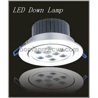 LED Down Lamp (BLH-D1012-9W)