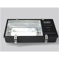 LVD induction tunnel light 06-502