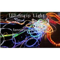 LED Flexible Strip / LED Light