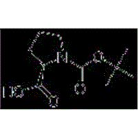 N-Boc-D-proline  CAS no: 37784-17-1