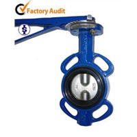 PTFE/VITON/EPDM/NBR Seated Butterfly Valves