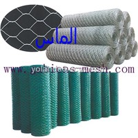 PVC coated Rockfall protection wire netting system of hexagonal wire netting