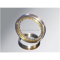 RABR-B 50/100 RABRB50/100-FA106 bearings