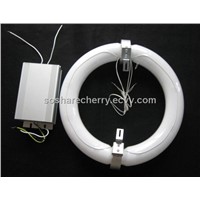 Round shape induction lamp 40W to 300W  electrodeless discharge lamp