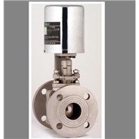 Stainless Steel Electrical Ball Valve (DN50)