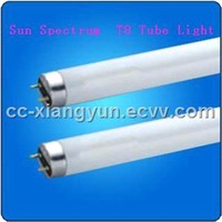 Sun Spectrum T8 Tube Light (YTZ18WHR26/26W/30W)