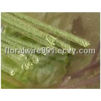 Supply SWG18-SWG30 Paper Covered Floral Wire