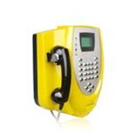 T581-outdoor PSTN card payphone