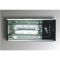 Tunnel Light/ Induction Lamp (0201)