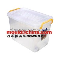 box mould/ storage box mould/food container/ coleection mould/