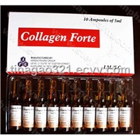 collagen fort injection