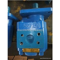 gear pump for CHANGLIN